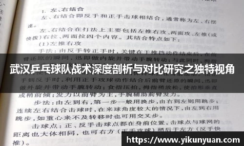 武汉乒乓球队战术深度剖析与对比研究之独特视角