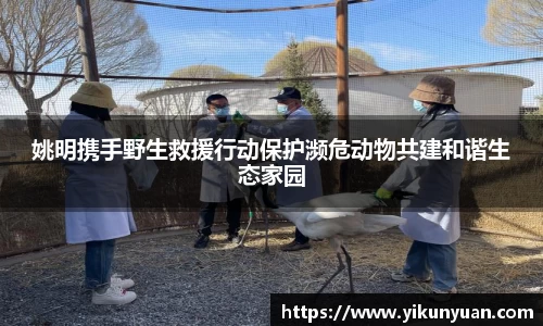 姚明携手野生救援行动保护濒危动物共建和谐生态家园